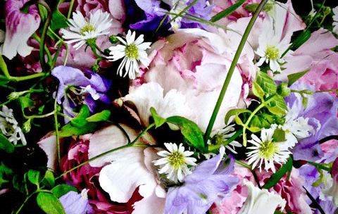 ORNIでは、植物や自然を身近に楽しんでいただけるよう、プロのクリエイターとともに、花のある豊かな暮らしの演出を、ご提案いたします。