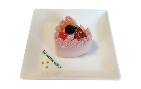 【ギフト】わんちゃん用ケーキ ハートチーズほか 4F ワンダードック デリ